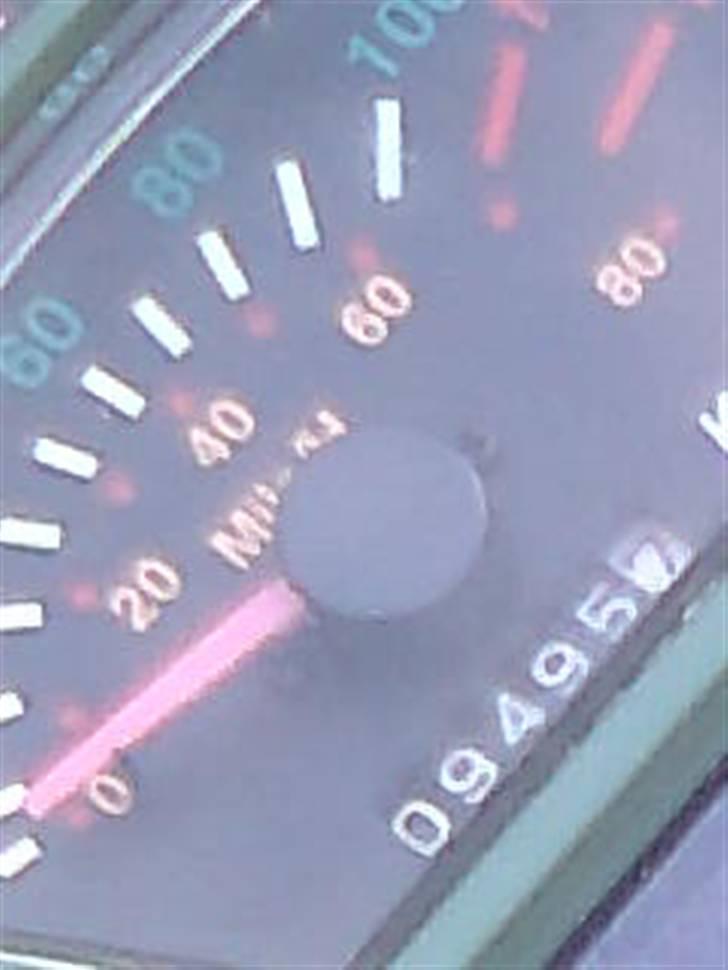 PGO t-rex billede 11