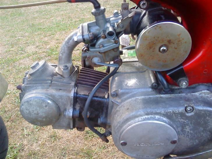 Honda dax st50  billede 9