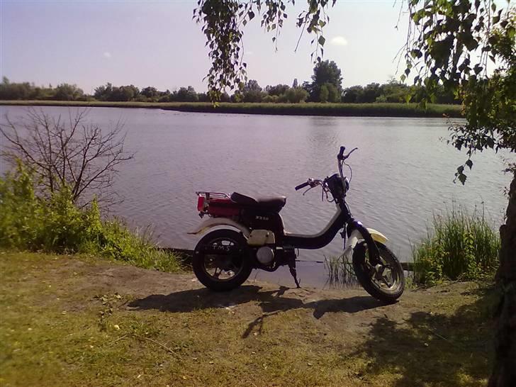 Suzuki fz50 byttet til cpi oli billede 2