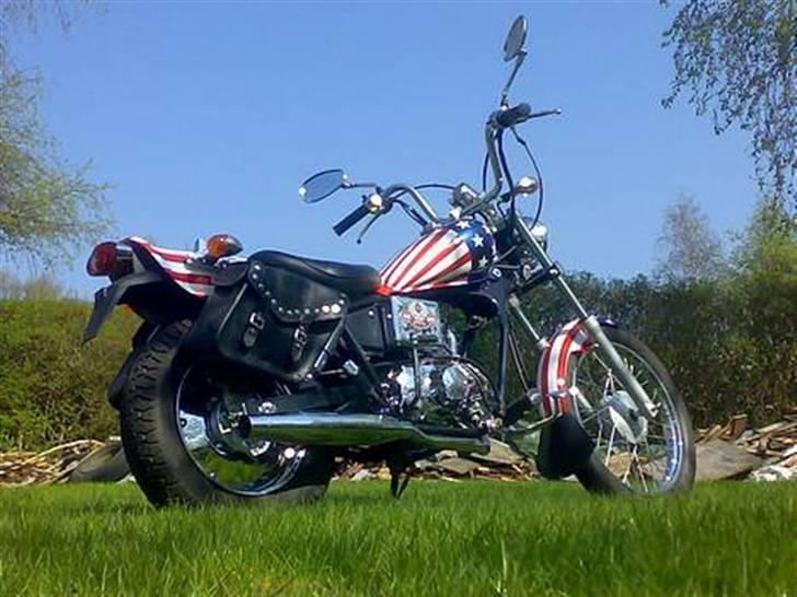 Regal Raptor 50QE (SOLGT) billede 2