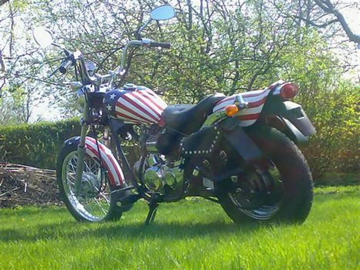 Regal Raptor 50QE (SOLGT) billede 5