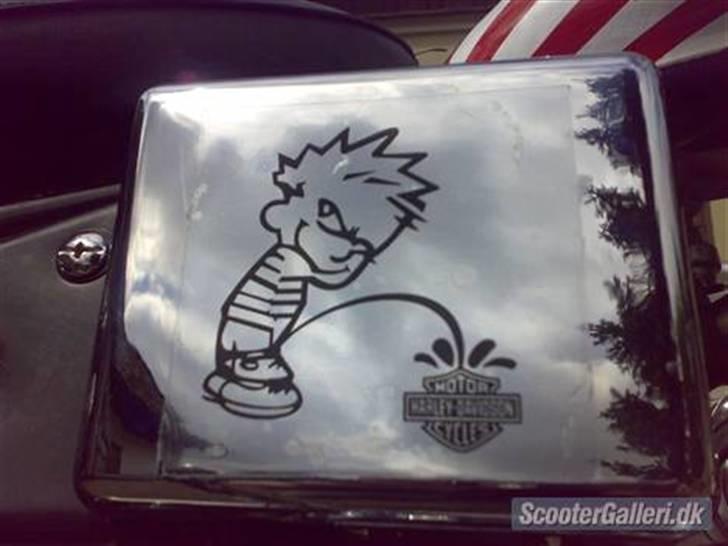 Regal Raptor 50QE (SOLGT) billede 10