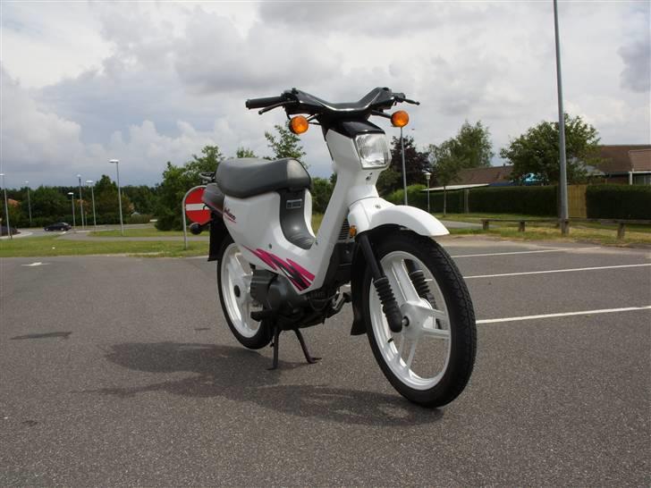 Honda wallaroo billede 3