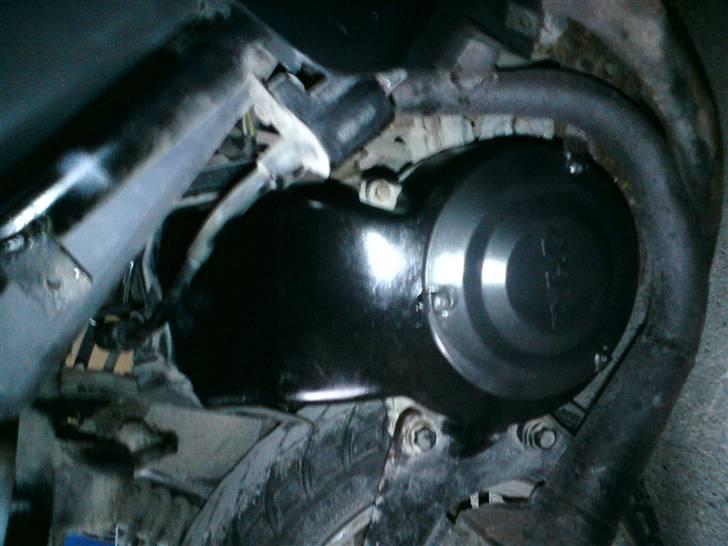 PGO Comet (Vildbassen) billede 14