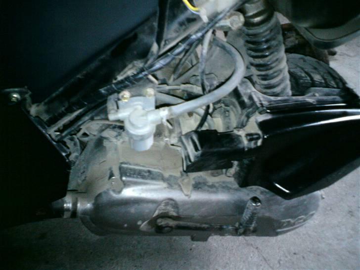 PGO Comet (Vildbassen) billede 17