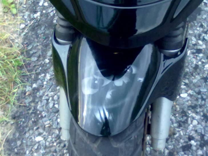 PGO hot 50/efter konfiskeret  billede 10