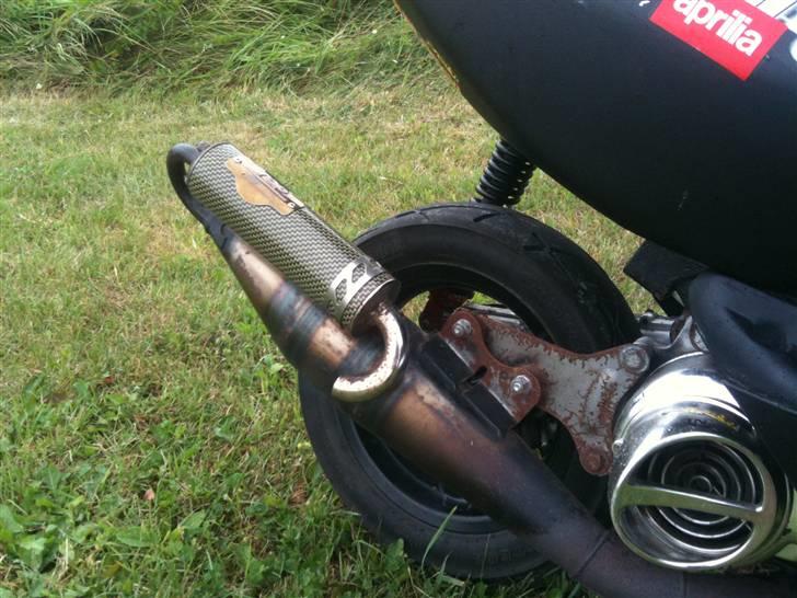 Aprilia Sonic (Byttet til Hot)  billede 6