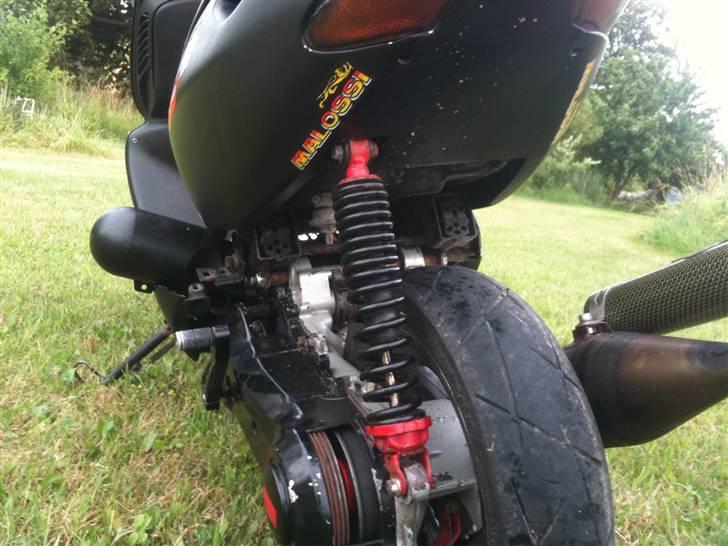 Aprilia Sonic (Byttet til Hot)  billede 10