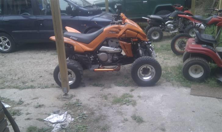 Apollo Orion   SÆLGES billede 7