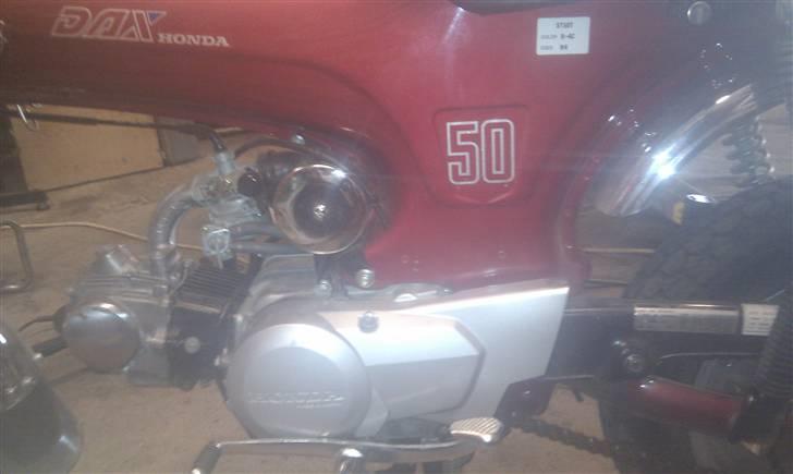 Honda Dax billede 3