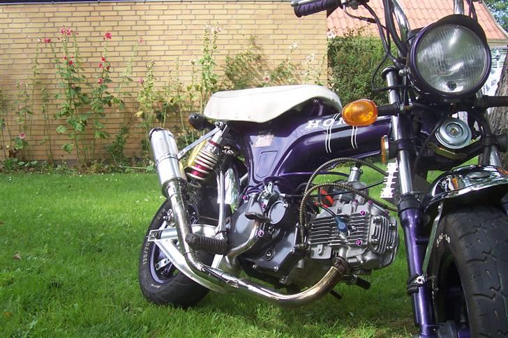 Skyteam DAX  TILSALG - dejlig og fantastisk træk !   billede 6