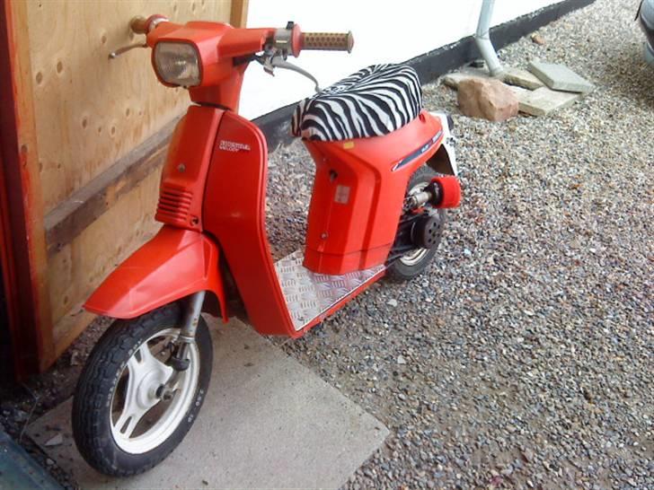 Honda melody >BISSEN< billede 7