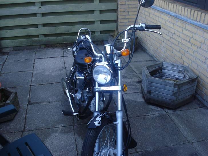 Regal Raptor solgt billede 1