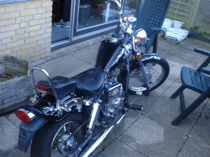 Regal Raptor solgt billede 2