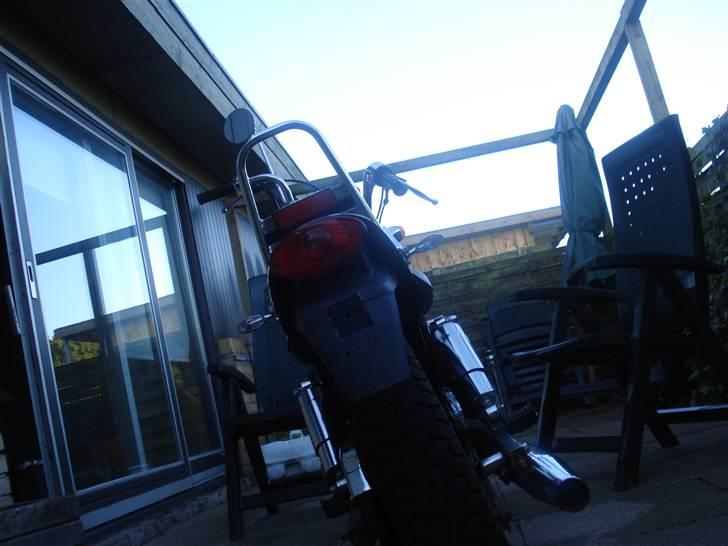 Regal Raptor solgt billede 3