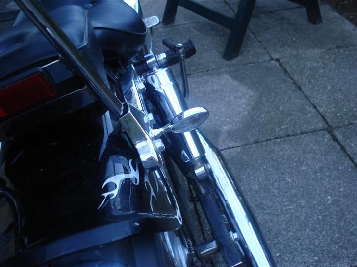 Regal Raptor solgt billede 4