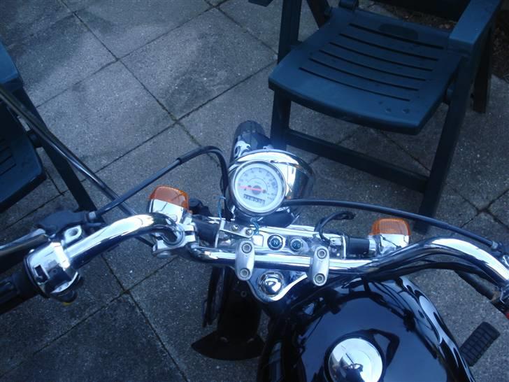 Regal Raptor solgt billede 5