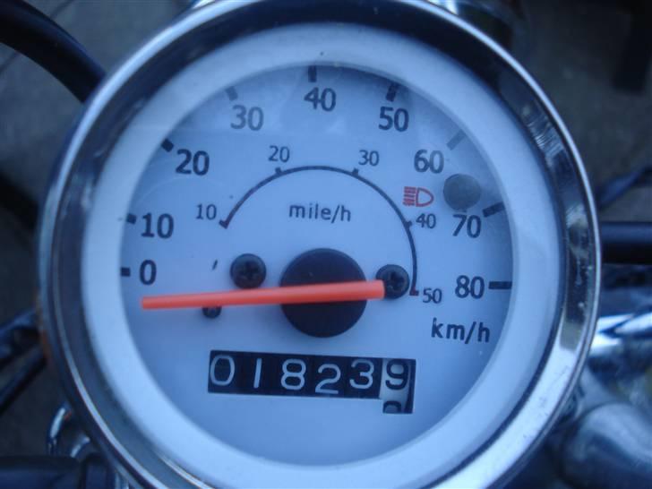 Regal Raptor solgt billede 6