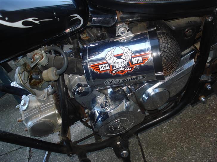 Regal Raptor solgt billede 8