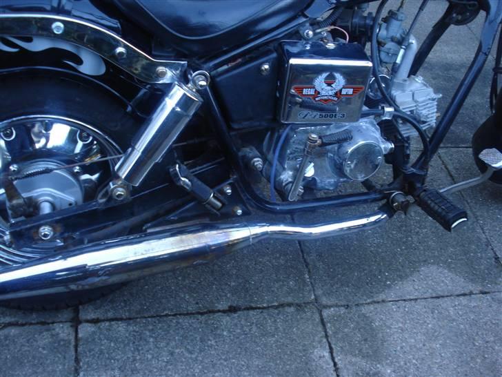 Regal Raptor solgt billede 9