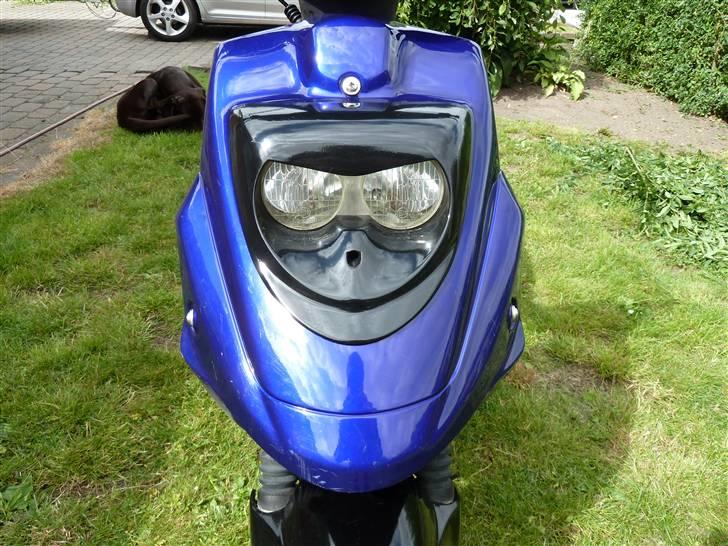 PGO Hot 50 - Jacob billede 8