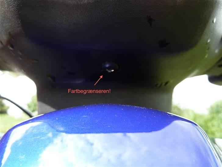 PGO Hot 50 - Jacob billede 9