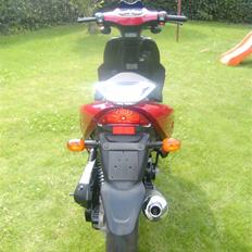 Texas chili bt49qt12 SOLGT 