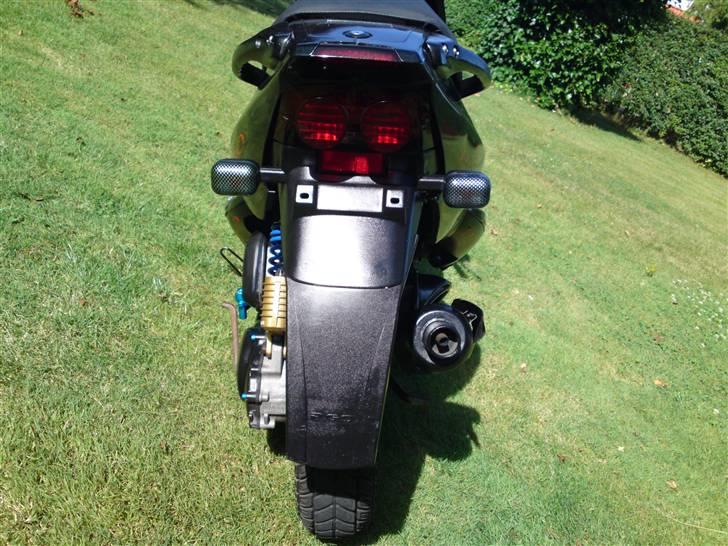 PGO dr big billede 12