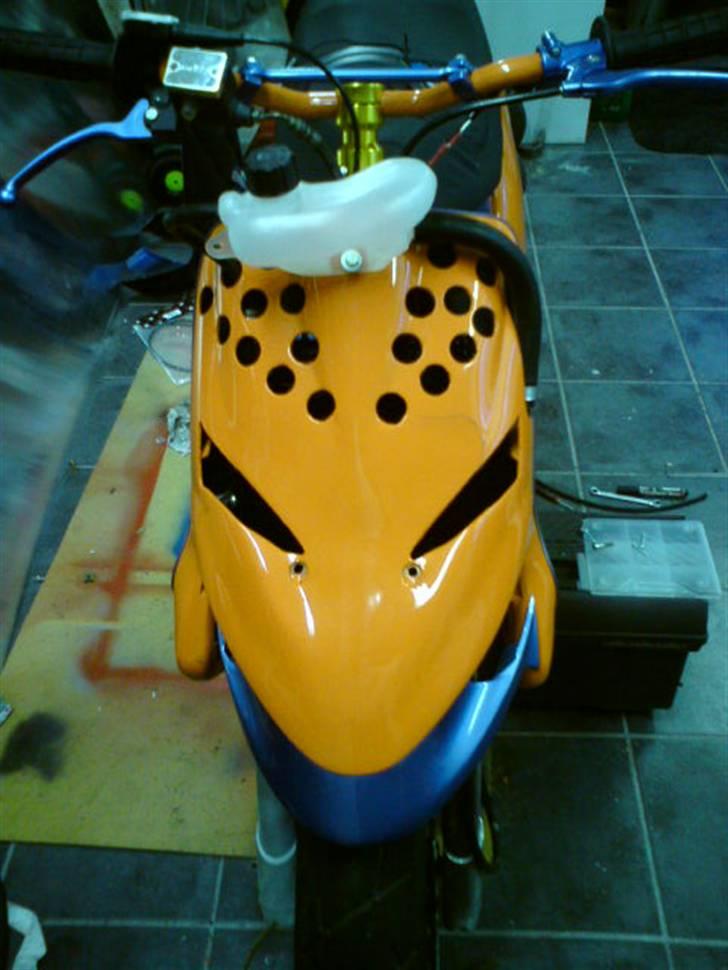 Gilera stalker byttet billede 1