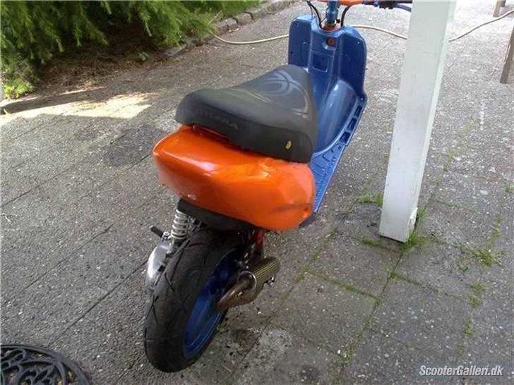 Gilera stalker byttet billede 4