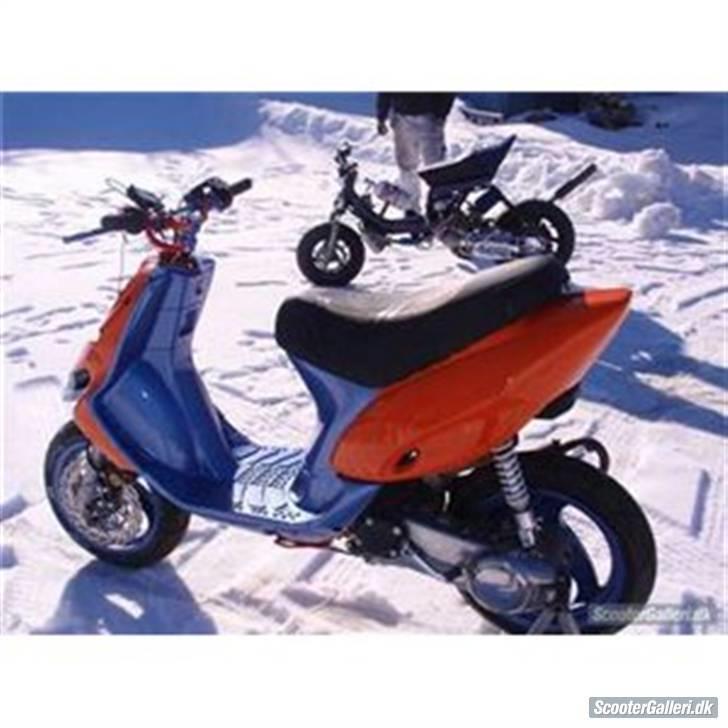 Gilera stalker byttet billede 6