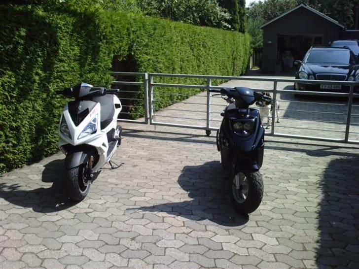Peugeot Speedfight 3 RS ¤ Tilsalg - Min sf og min vens hot 50 billede 3