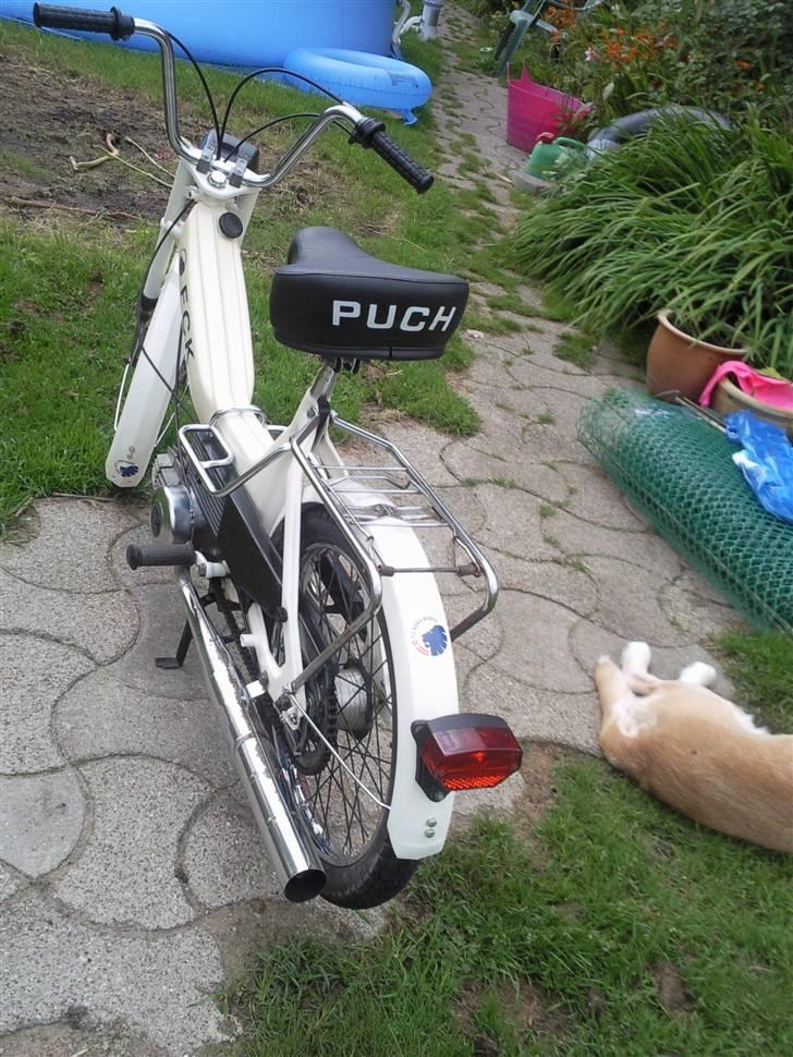 Puch maxi FCK **SOLGT** billede 7