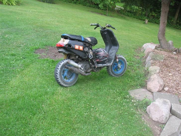 Piaggio Typhoon billede 6