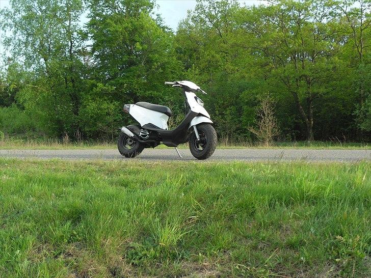 PGO Hot 50  billede 4