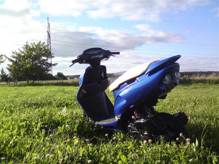 Honda sfx :D SOLGT )': billede 8