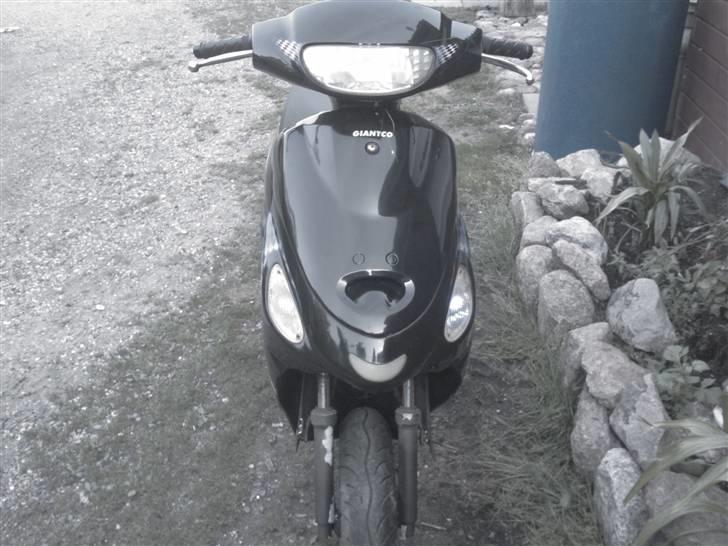 Giantco Sprint (solgt) billede 2