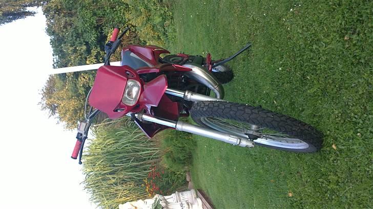 Gilera RCR  billede 7