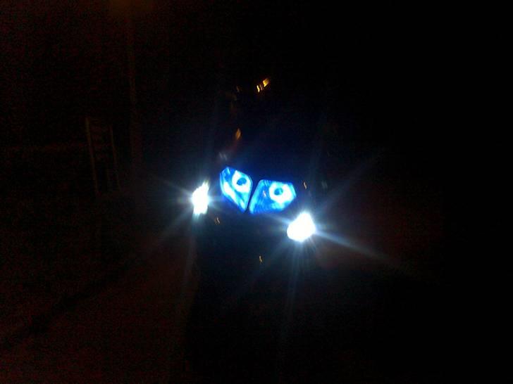 PGO t-rex billede 12