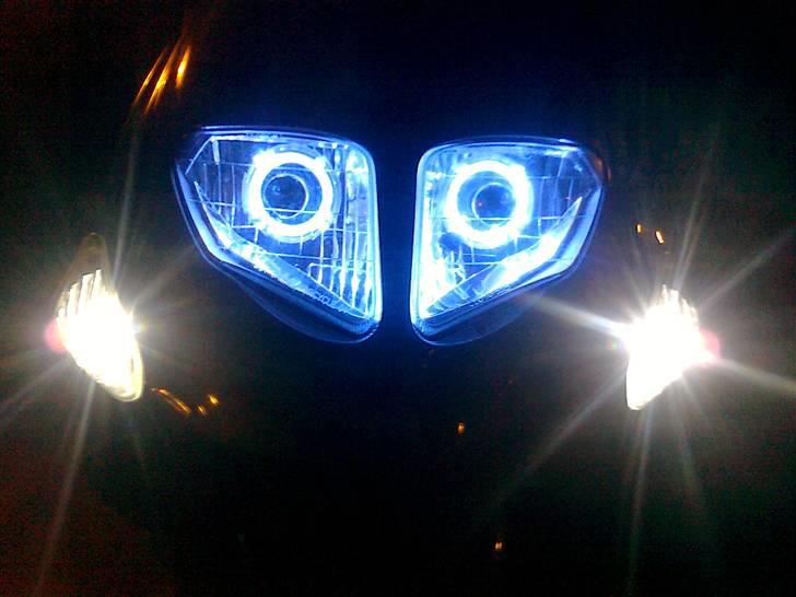 PGO t-rex billede 13