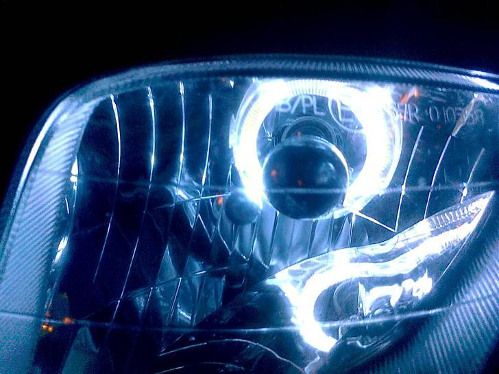 PGO t-rex billede 14