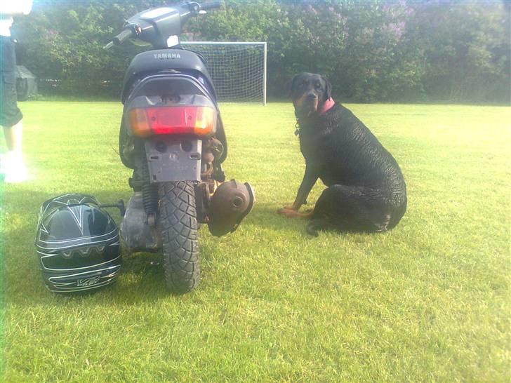 Yamaha Jog as SOLGT!!! billede 15