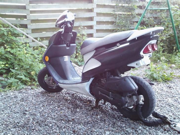 Honda sfx - nyt efter den er blivet malet  billede 8