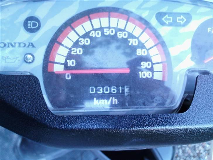 Honda sfx - nyt efter den er blivet malet  billede 10