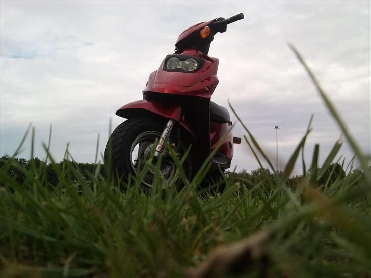 PGO Hot 50 billede 9