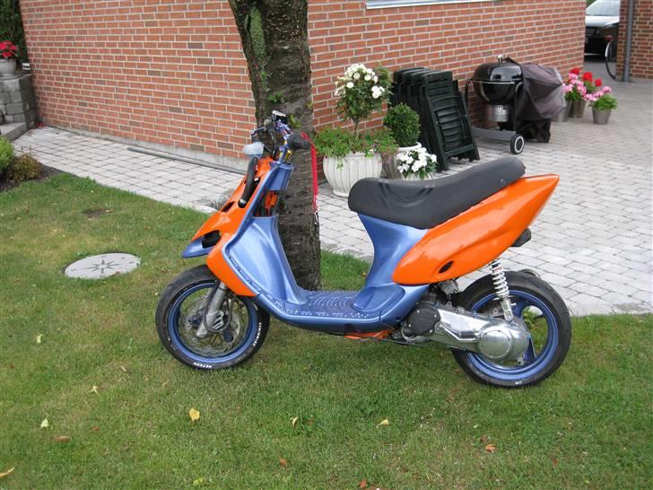 Gilera stalker byttet billede 9