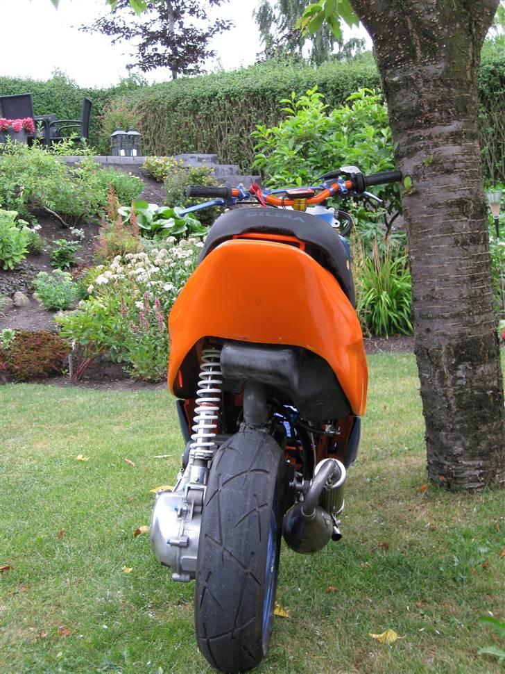 Gilera stalker byttet billede 13