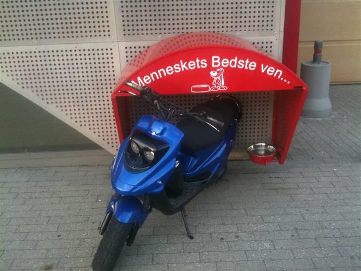 PGO hot 50 billede 1