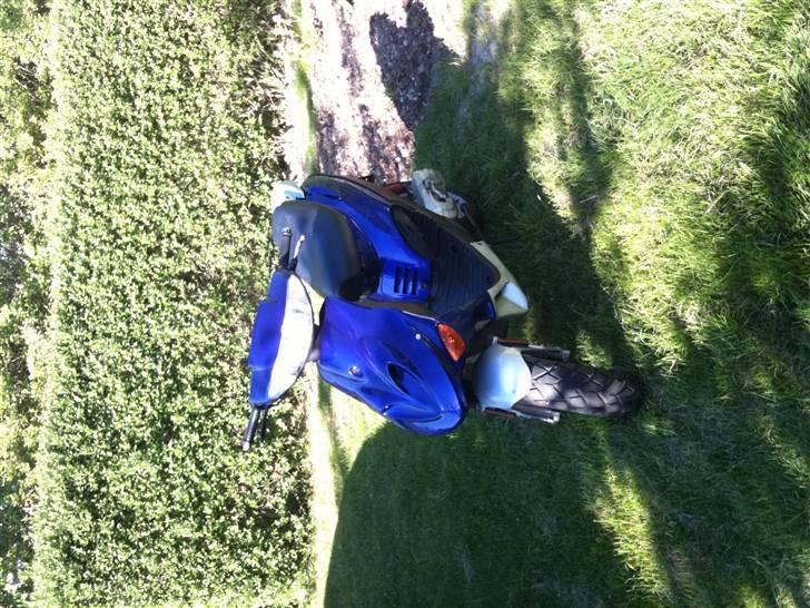 Adly Baboon billede 1