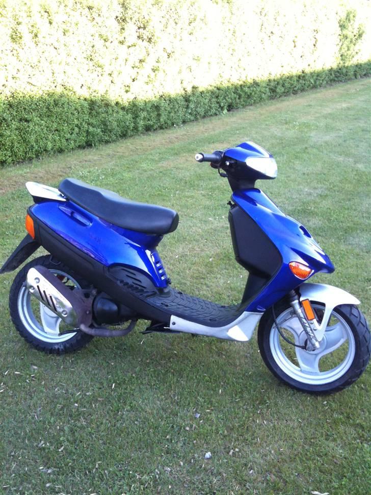 Adly Baboon billede 4